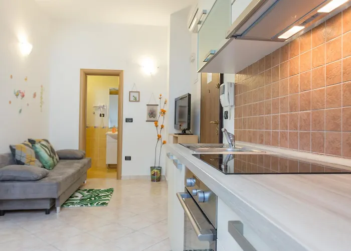 미마 두브로크니크