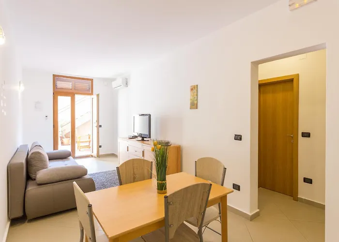 미마 두브로크니크 *