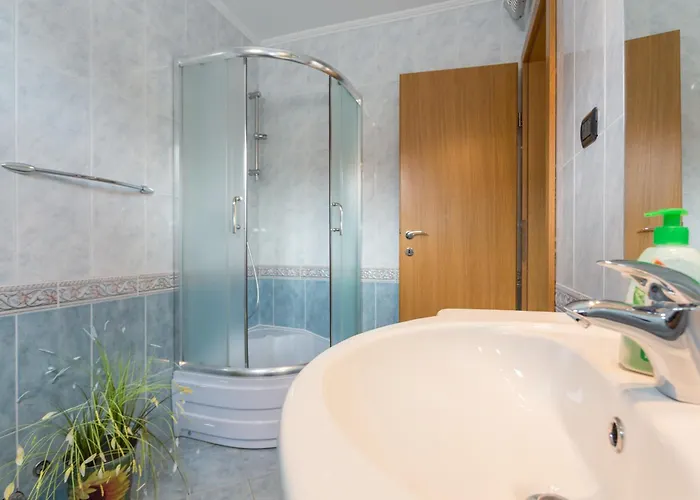 미마 두브로크니크