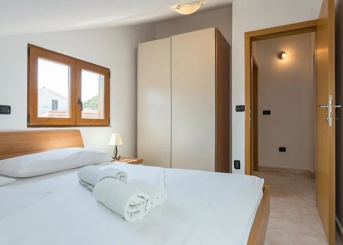 미마 두브로크니크