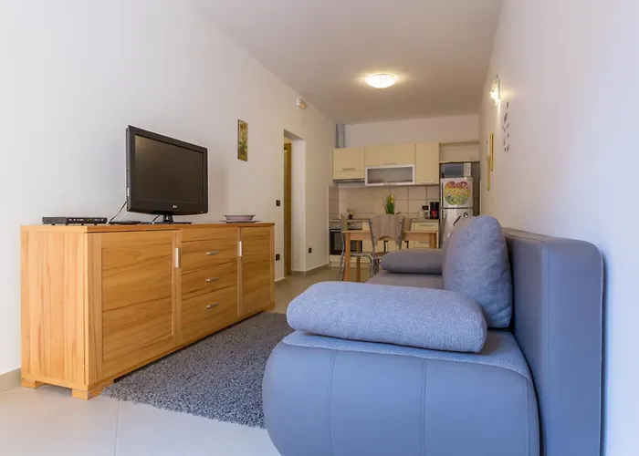 미마 두브로크니크 *