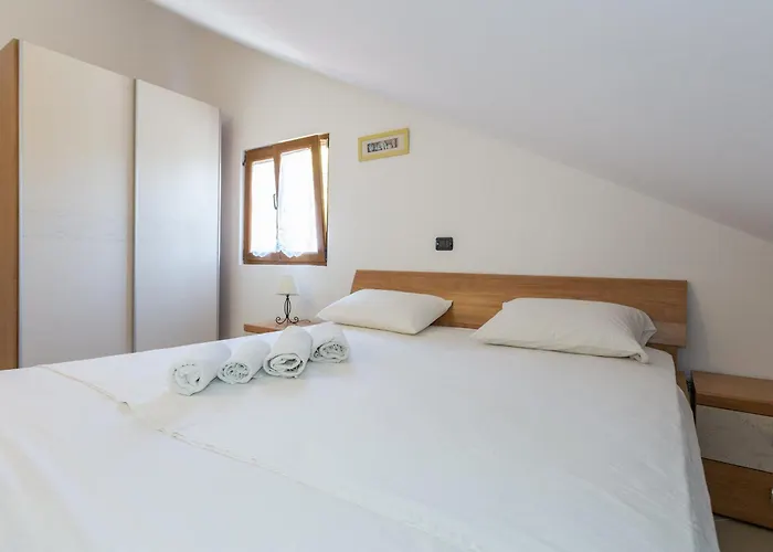 미마 두브로크니크 *