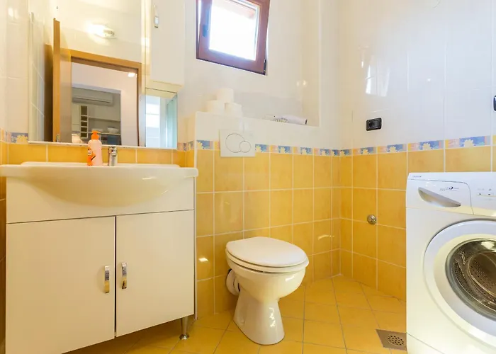 미마 두브로크니크